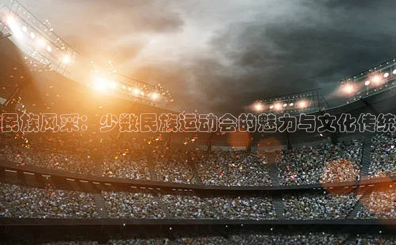 民族风采：少数民族运动会的魅力与文化传统