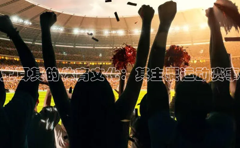 土耳其的体育文化：其主要运动赛事