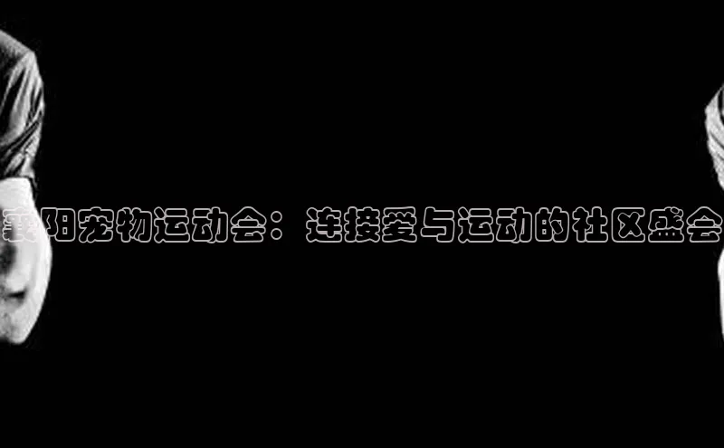 襄阳宠物运动会：连接爱与运动的社区盛会