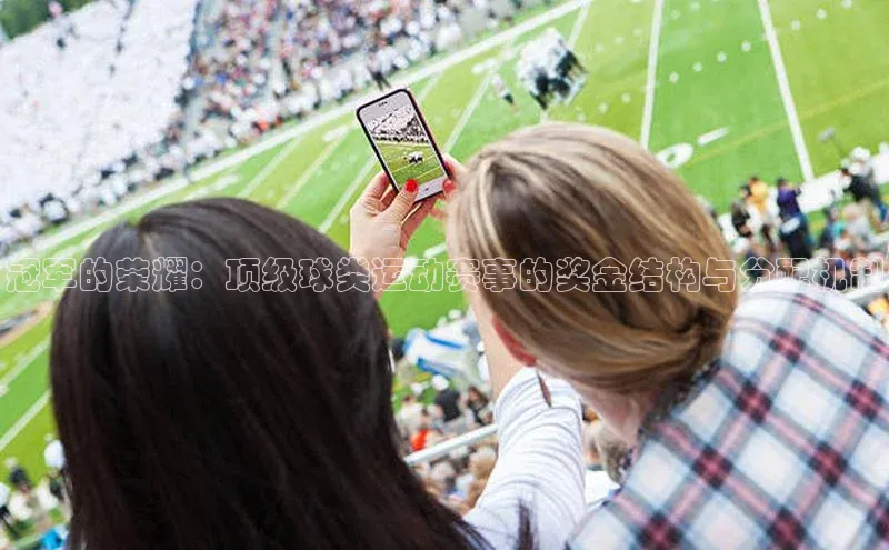 冠军的荣耀：顶级球类运动赛事的奖金结构与分配机制