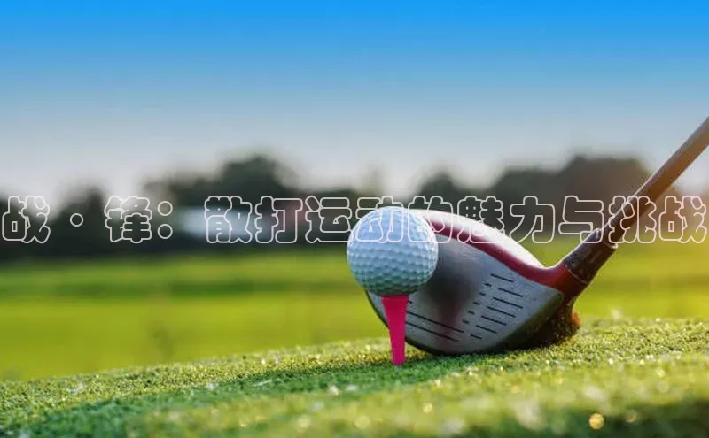 战·锋：散打运动的魅力与挑战